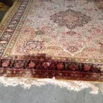 Rug Stain Removal Services Before