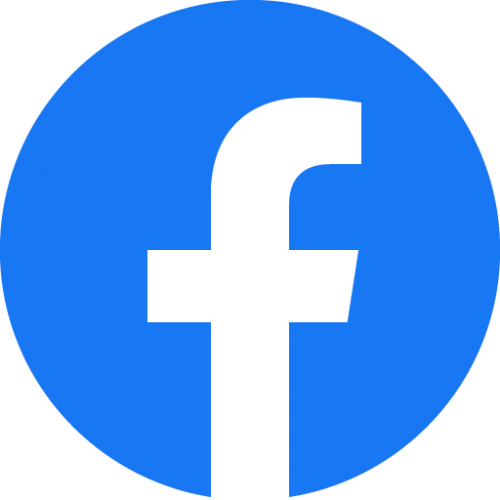 facebook-viscose-rug