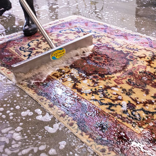 Rug Cleaners Professional Area Rug Cleaning Babash Rug Services