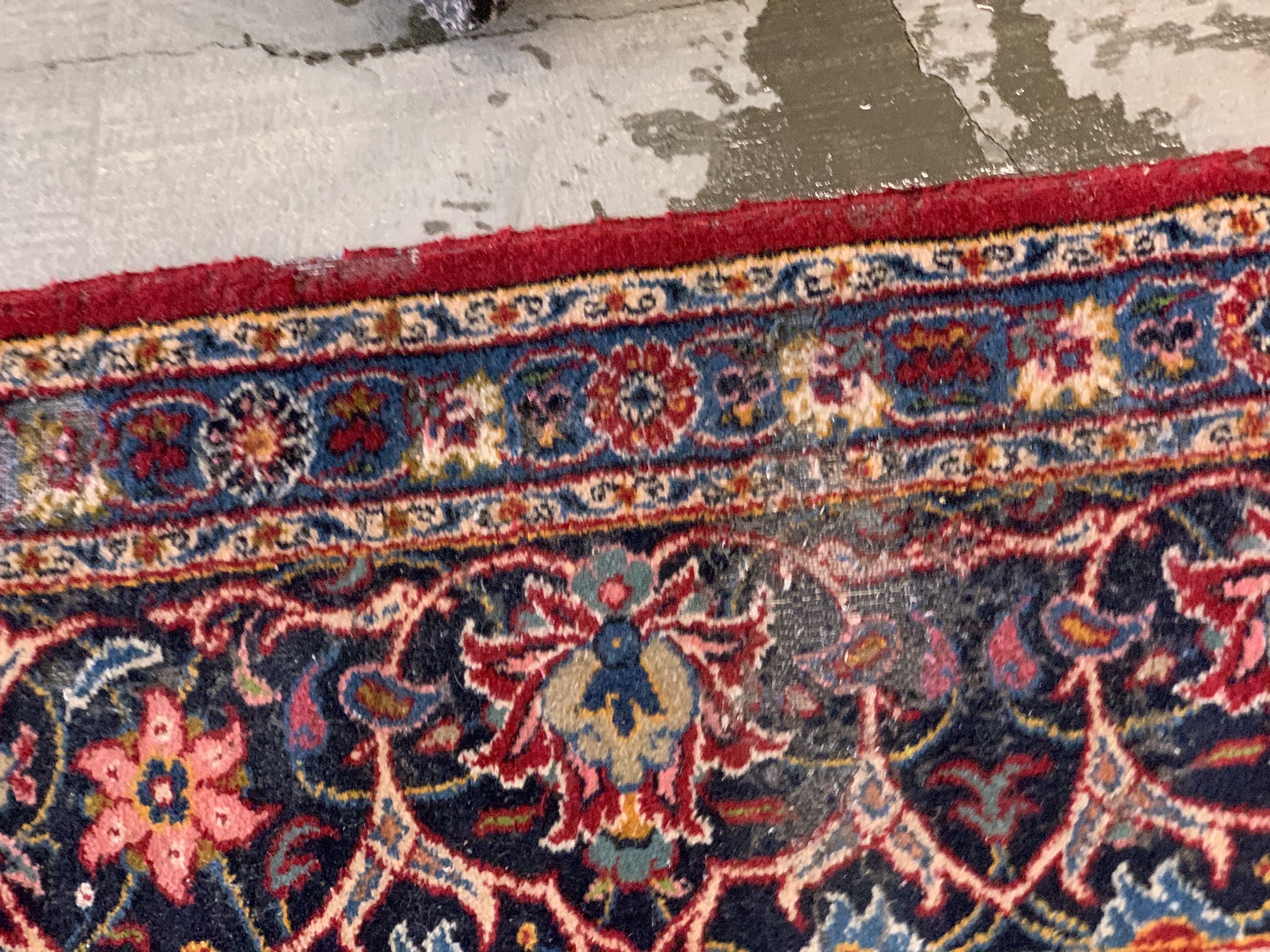 moth damaged rug